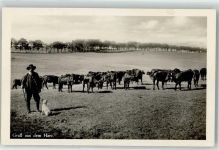Rinderherde Hirte mit Hund im Harz AK Hirte 1928 Foto AK