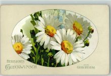Gebutstagsgrüße Geburtstag