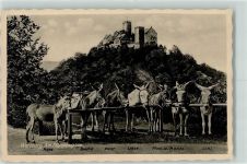 O5900 Eisenach , Thür Eselstandplatz Wartburg Esel
