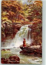 Lower Fall Rhaiadr Du Welsh Waterfalls Oilette Postcard Nr.7602 sign. E.Longstaffe Tucks Künstlerkarte