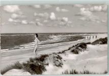 W2982 Norderney Abessinien FKK Foto AK