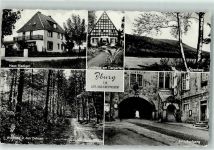 49186 W4505 Bad Iburg Foto AK Haus Riedinger Landhaus Tiergarten Dörenberg Schloßaufgang Waldweg in den Dehnen