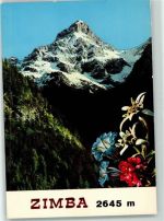 6780 Schruns - Zimba 2645 m Blumen Vorarlberg