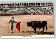 Citando a matar Torero Stierkampf Motiv Spanien