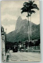 Rio de Janeiro - Corcovado Tram Straßenbahn Palme