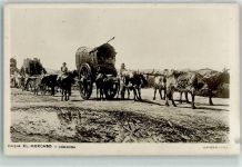 Cordoba - Hacia el Mercado Rindvieh