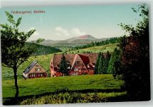 79677 W7869 Belchen im Schwarzwald - Gasthaus Feldbergerhof