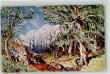Landschaft