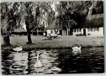 19406 O2720 Sternberg , Meckl - Am Freibad Schwäne