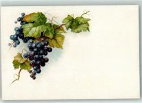 Trauben Frucht, Gemüse