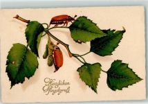 Maikäfer LP Nr.1778 Pfingsten Gebrauchsspuren