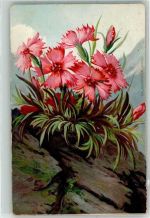 Alpenflora