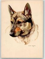 sign.N.B.Roth Verlag Flechsig Nr.6701 Schäferhund Künstlerkarte