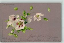 Blumen Duftkarte 1904