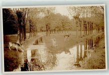 W3000 Kirchrode Rehe Hirsch Tiergarten Jagdtier