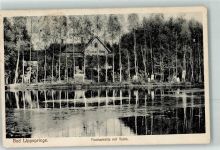 33175 W4792 Bad Lippspringe 1919 - Fischerhütte mit Teich