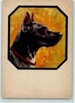 sign.Merker W. Dobermann ST Nr.425 Großer Hund Künstlerkarte
