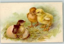 Verlag Dondorf Nr.407 Huhn 1915