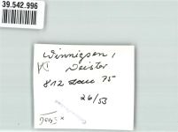 56333 W5406 Winningen , Mosel FOTO KEINE AK Gasthaus Möllerburg Oldtimer Ort handschriftlich