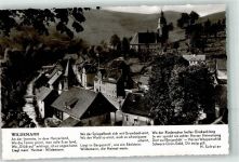 38709 W3391 Wildemann - Gedicht H. Schwier