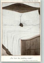 Ein ruhiges Plätzchen Katze Bett Kl. Studie i. Schwarz Weiß Humor 1912