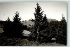 79677 W7869 Belchen im Schwarzwald FOTO KEINE AK Ort handschriftlich Foto Original aus Archiv eines Ansichtskartenverlags