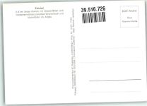 88167 W8999 Grünenbach , Allgäu Foto AK Fliegeraufnahme vom Eistobel mit Argentobelbrücke