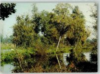 5551 Valkenswaard 1978 - De Malpie