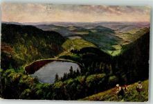 79868 W7828 Feldberg , Schwarzwald 1915 Künstlerkarte Blick auf den Feldsee Feldberg-Seebuck sign. H. Hoffmann