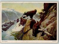 Steinadler sign. Hans Schmidt Nr. I/111 Raubvogel Künstlerkarte