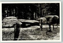 29683 W3032 Fallingbostel Foto AK Hünengräber Sieben-Steinhäuser