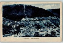 75323 W7547 Bad Wildbad im Schwarzwald 1920 - Tagsestempel Wildbader Blumentag 18.07.