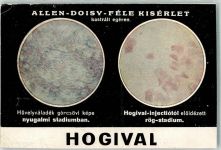 Budapest Gebrauchsspuren Pharmawerbung Hogival