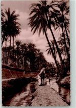 Kairo Cairo Foto AK Oase Ort lt. Verlag
