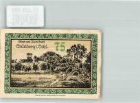 Grünberg Zielona Góra 1921 Notgeldschein Notgeld 75 Pfennig
