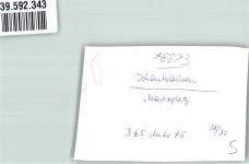89335 W8873 Ichenhausen FOTO KEINE AK Marktplatz Foto Original aus Archiv eines Ansichtskartenverlags Ort handschriftlich