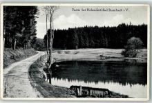 08648 O9932 Bad Brambach 1933 Foto AK Waldteich bei Hohendorf