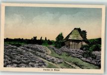 7311 Apeldoorn - Heide in Bloei Ort lt. Recherche
