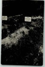Kriegsgrab Privatfoto AK