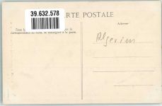 Alger Algier - Allee des Platanes