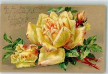 Lithographie Rose Prägedruck