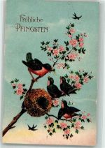Vögel Blumen Lithographie Pfingsten 1911 Prägedruck