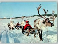 Tracht Rentiere Winter Motiv Finnland Foto AK