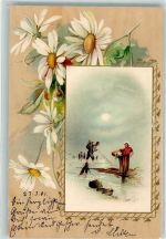Margeriten Passepartout Lithographie Angeln 1901 Prägedruck