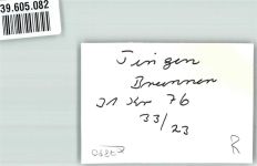 79761 W7890 Tiengen , Hochrhein - Brunnen Foto Original aus Archiv eines Ansichtskartenverlags