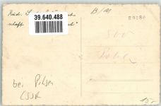 Plzen Pilsen Foto AK Gasthaus Waldheim Ort handschriftlich