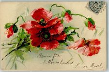 Mohnblume Blume 1905