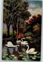 Teich Seerosen Schwan Künstlerkarte