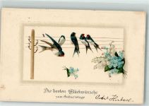 Glückwunsch Schwalben Vergissmeinnicht Maiglöckchen M.S.i.B. 1106 Geburtstag 1915 Prägedruck