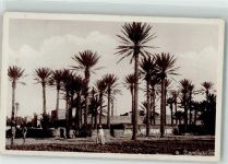 Fes Fez - Boudnib Errachidia Tafilalet